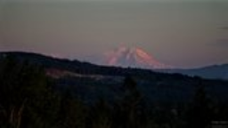 A view of the sun's pink rays reflecting off Rainier's snow-covered slopes at dusk.