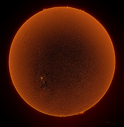 An imaging session in February 2024 captured the sun's corona and surface details. February 23, 2024 was an active day for our sun. In this image, the prominent sunspot on the lower left is AR3590. This mega-sunspot is larger than 9 earths and was a record for this 11-year  solar cycle (Solar Cycle 25). Although AR3590 was known to produce one of the largest and strongest solar flares of cycle 25, in this photograph you can clearly see a filament streaming out of AR3591 in the upper left.
