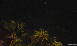 A clear wide-angle view of the predawn sky on Grand Cayman.