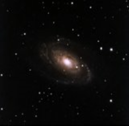 One of the brightest galaxies in the night sky, Bode's Galaxy is believed to contain a black hole in the center that is 70 million times the mass of the sun.