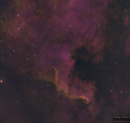Shakedown for first light with new rig. Limited window of sky at my location meant short time on each target. Spent less than one hour exposure each on bright nebulae, a cluster and a galaxy. Minimal processing but I'm excited for the potential. First target was the North America Nebula. Rig: William Optics Redcat 71 (338mm f/5), ZWO ASI294MM Pro (monochrome), ZWO 8-filter wheel (used 7: LRGBSHO). 160mm Orion guide scope with ZWO ASI290MM Mini. All on a ZWO AM5 (no need for a counterweight!) mount.