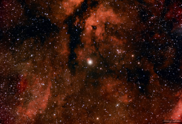 The Sadr region is the name of the nebulosity that surrounds the brilliant center star of Cygnus' cross. Here, the massive supergiant estimated to contain over 10 times the mass the sun in a radius 150 times as wide glows triumphantly in the center of the frame.