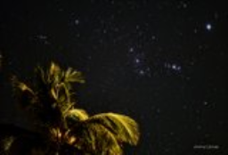 A very tropical Orion rises above the palm trees on Grand Cayman.