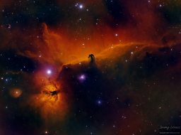 It's a popular and iconic region: the first star on the 'belt' of the Orion constellation, Alnitak. This beautiful, bright star is flanked by the distinctive Flame Nebula and easily recognizable Horsehead Nebula. I collected two nights of data with the goal of creating an image that captures the delicate details of the dust and gases that make up the nebulae in this area.
