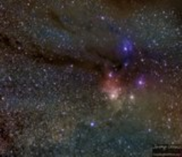 The Antares Region: a fast study