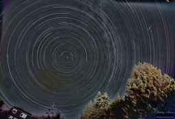 Star trails from a night of shooting the skies to catch a glimpse of the Perseids meteor shower. I superimposed on a single frame so you can see the Andromeda Galaxy on the right side.