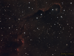 IC1396A is the designation for the Elephant Trunk Nebula: a dense cloud of ionized gas that has been compressed into a round shape from opposing forces of a massive star and several younger stars. The larger star illuminates the edge of the cloud and provides contrast for the trunk that curls at the end of a long column of interstellar dust.  It is believed this compressed gas is forming into protostars.