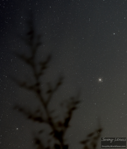 Bright Arcturus shines low in the dawn sky as winter fades to spring.