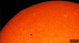 In this close-up of the sun's surface, you can clearly see a cluster of sunspots with plasma arcing above it.