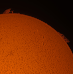 Imaging the sun on an active day, I captured these prominent flares around the edges of the solar disk.