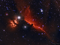 This classic pairing of well-named nebulae Horsehead and Flame is one of my favorite regions in the night sky. It has a bit of everything, from a brilliantly shining star to bright tongues of heat blazing from the Flame Nebula, to the horse head's shadow casting a silhouette on billowing intergalactic dust. I'll keep improving my technique for this target!