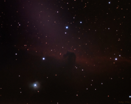 Although we tend to refer to IC434 as the Horsehead Nebula, it's actually an emission nebula hidden behind the Horsehead nebula. The latter is made up of dark dust that is illuminated by the former. This framing honors the beauty and grace of the horse's silhouette, but I'm working on a mosaic that captures the broader area to include the Flame Nebula (NGC2024).