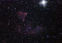 γ Cas or gamma Cas is the middle point of the 'W' that makes up the constellation Cassiopeia. It is a rapidly spinning variable star that is incredibly bright. It dominates the scene and overpowers the delicate, faint reflection nebula nearby designed IC59 and named, 'The Ghost of Cassiopeia.' It took me over 500 exposures to draw out the detail of this elusive nebula.