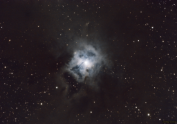 The Iris Nebula is a beautiful reflection nebula lit from behind by a bright star. Although the beautiful blue core is easily visible even with regular camera lenses, it takes dark skies and long exposures to bring out the subtle ripples of dust that appear to expand from the center.