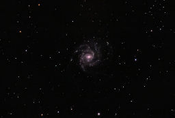 M101: The Pinwheel Galaxy