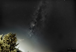 I recently pointed my Samyang 12mm southeast over the glow of downtown Monroe to capture a time lapse from dusk until dawn. The Milky Way even lurks over bright downtown Monroe, if you know how to find it.