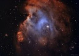 The Monkeyhead Nebula lies in the nebula-dense constellation of Orion. It is believed to be formed of dust, wind, and radiation caused by newborn stars.