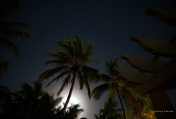 My first photograph on the Cayman Islands includes the Pleiades and a very bright moon.
