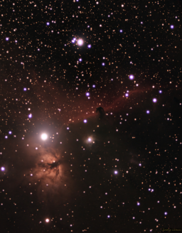 A combination of new images for the Flame and Horsehead nebulae.