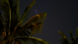 The palm trees did a great job of framing the Seven Sisters from Grand Cayman.