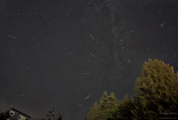 Last night's Perseids did not disappoint. The background is a 60-second exposure, then I star-aligned and overlaid the meteors from the other exposures. I usually identify meteors by their color, as satellite flashes are almost always white, and the Perseids are easy to spot because they all 'point' to a common origin near the Andromeda galaxy and the distinctive double cluster in Perseus.