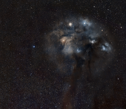 The Rho Ophiuchi Complex
