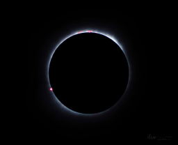 At the height of totality, the sun becomes a silver ring in the sky and if you are able to look, you can see bright red dots where the large prominences exist. It is a deeply transforming experience and of all the photos I captured, this one looks closest to what I saw with my unaided eyes.