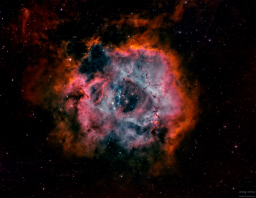 I dedicated an evening to capturing the Rosette Nebula with narrowband filters, then processed it with existing RGB data. My goal was to capture the fine structure and detail of the nebula and use color to contrast various regions based on their spectral emissions. I call it the Rosette in Bloom.