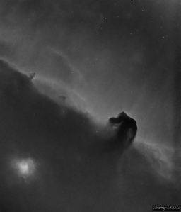 A black and white image of the Horsehead nebula and nearby NGC2023.