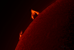 On the day of the total solar eclipse (April 8, 2024) I began photographing the sun early so I could focus and align the scope. I immediately noticed some large prominences, so I zoomed in by adding my TeleVue PowerMate 2.5x and swapping the camera with the ZWO ASI290MM-Mini.
