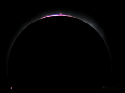 During the eclipse, there was an instant just as the moon covered the sun that the corona was not yet visible. The moon fully covers the sun's disc but not the prominences that arch above the chromosphere, so these get captured in this type of exposure.