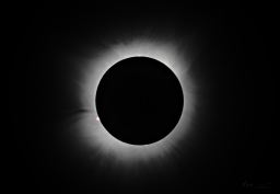 When the sun's disk is fully covered, the brilliant light is no longer there to overpower the fainter corona and it becomes visible with slightly longer exposures.