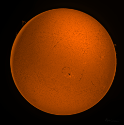 This was the sun on the day of the  total solar eclipse in the United States. It had some very prominent, well, prominences that prominently appear in most of the eclipse photos.