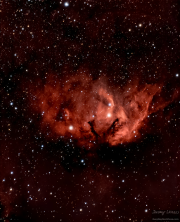 SH2-101 is an emission nebula in the Cygnus cloud region. It is in direct line with the Milky Way and therefore lies in an abundant starfield. I first imaged the Tulip Nebula in July 2021. In the first image, the bright red star in the lower right is Cygnus X-1, part of a binary star system that includes black hole. You can't see it, but its signature is visible in X-ray emissions. I imaged it three more times through June 2022 and combined the data for the second image. Last night, I started a new data set. This time I got a little closer.